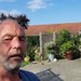 profil billede