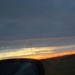 profil billede