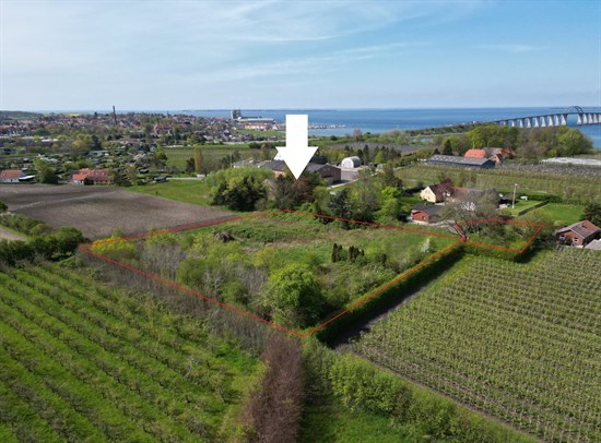 billede af boligen