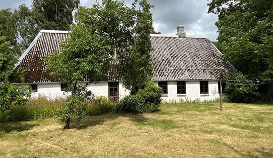 billede af boligen