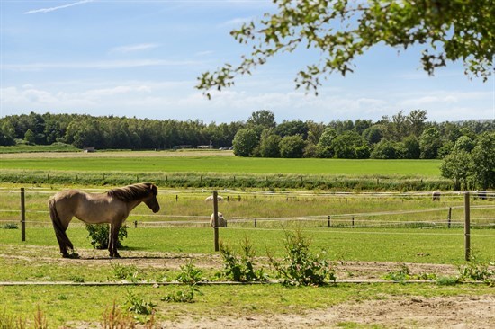 billede af boligen