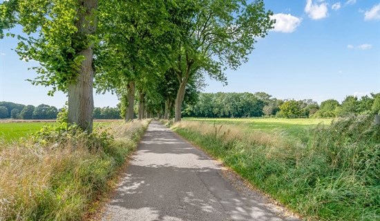billede af boligen