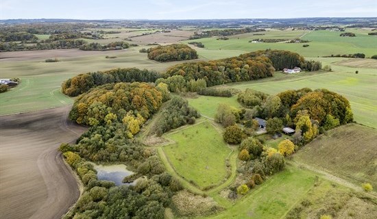 billede af boligen