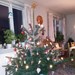 profil billede