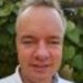 profil billede