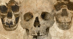 DNA og fossiler udvider vores stamtræ (via livestream fra Aarhus Universitet)