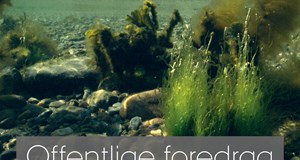 Havets kollaps og vejen tilbage (via livestream fra Aarhus Universitet)