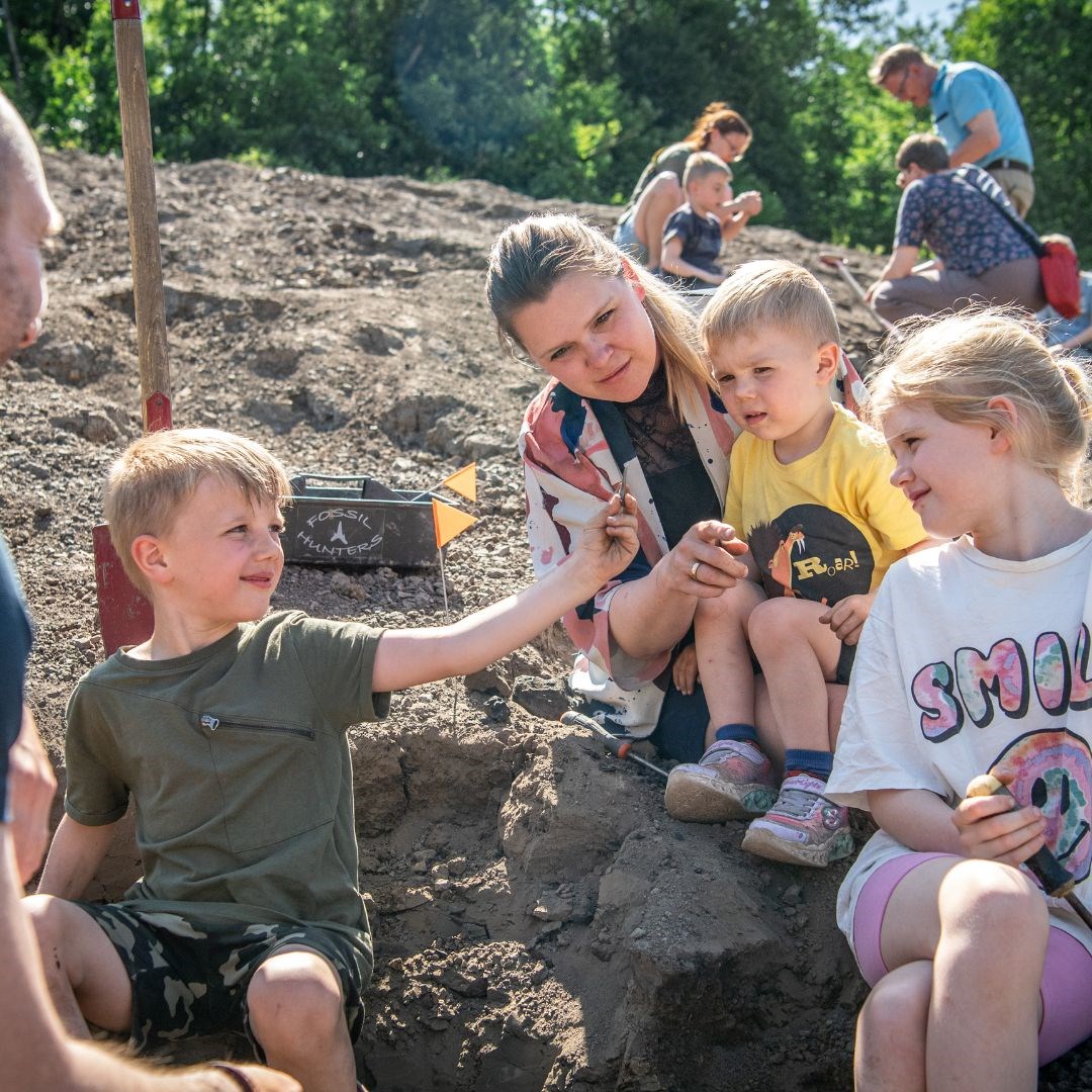 Fossilferie for hele familien i Gram Lergrav