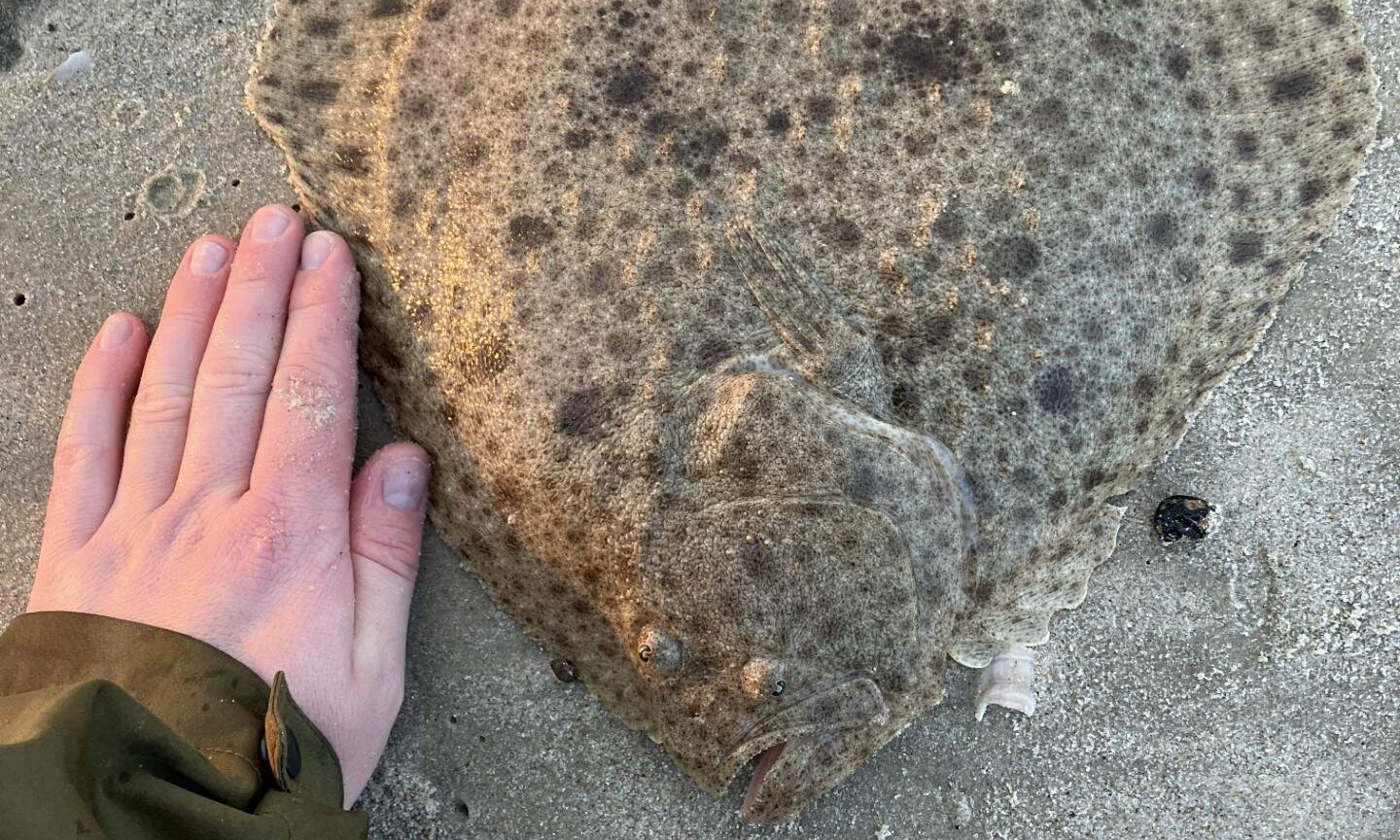 Eksklusiv fiskeoplevelse: Kom godt i gang med pighvarfiskeriet