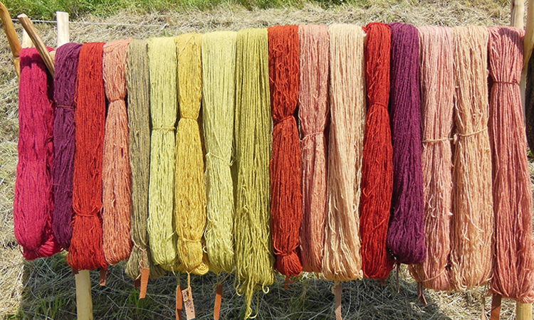 Udsolgt lær at farve dit eget garn med plantefarver