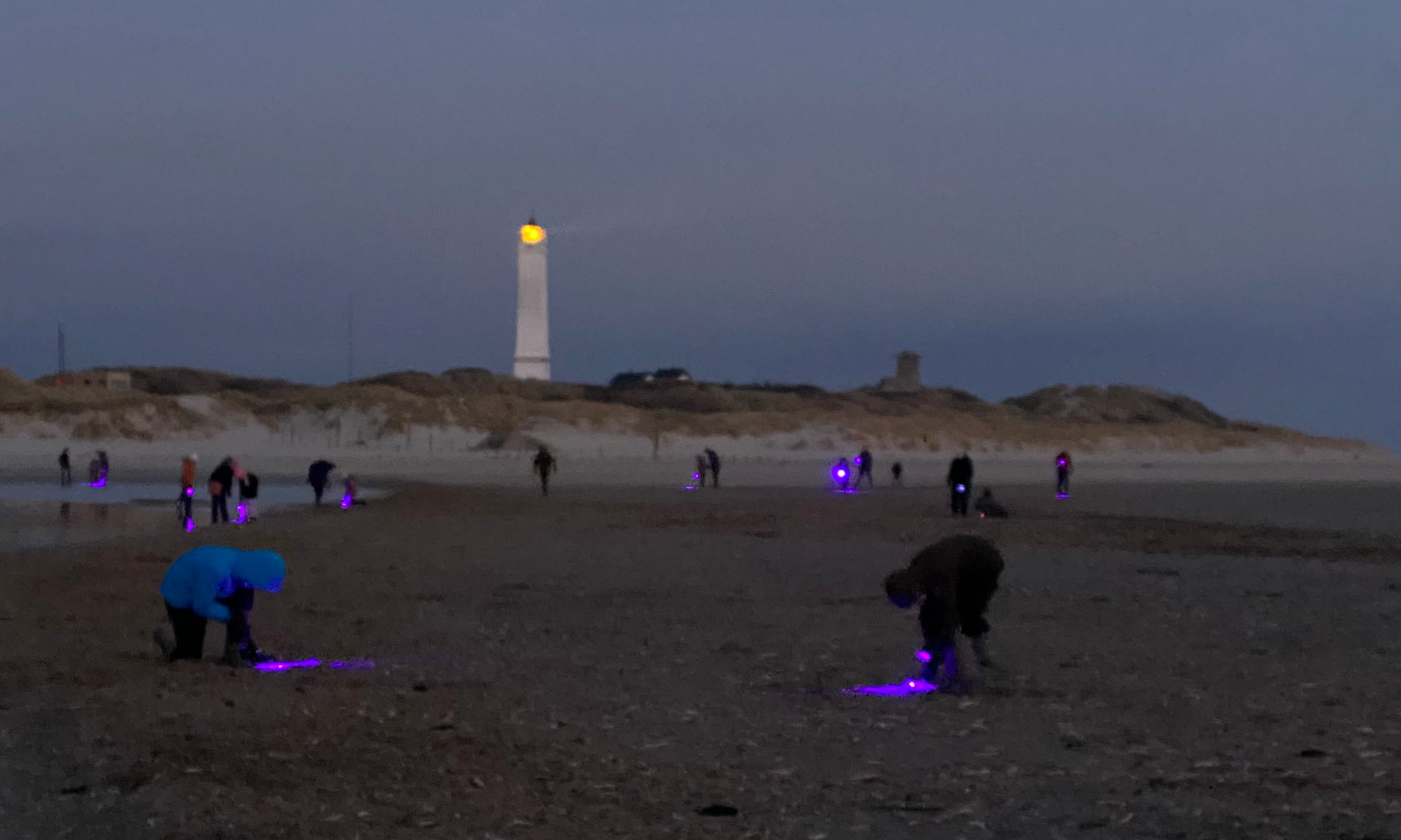 Ravjagt i vintermørket: På opdagelse med UV-lys