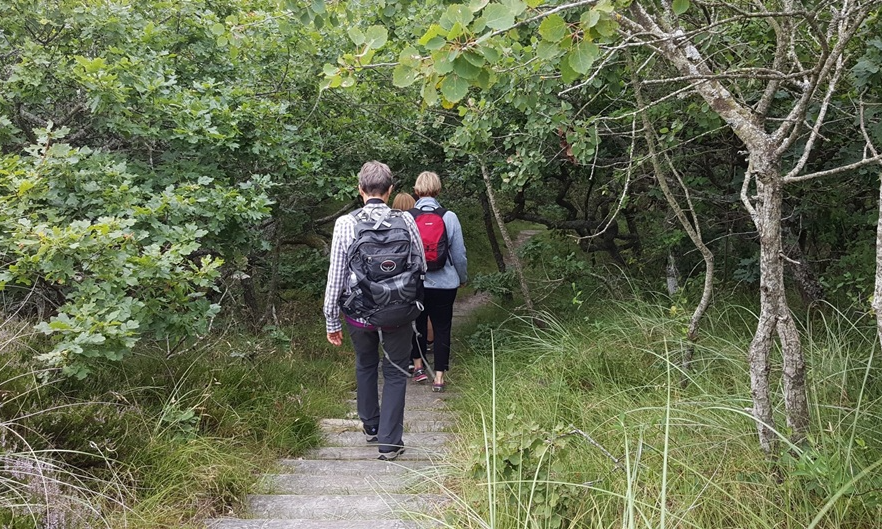 Heldagsvandretur Filsø - Kærgård Klitplantage