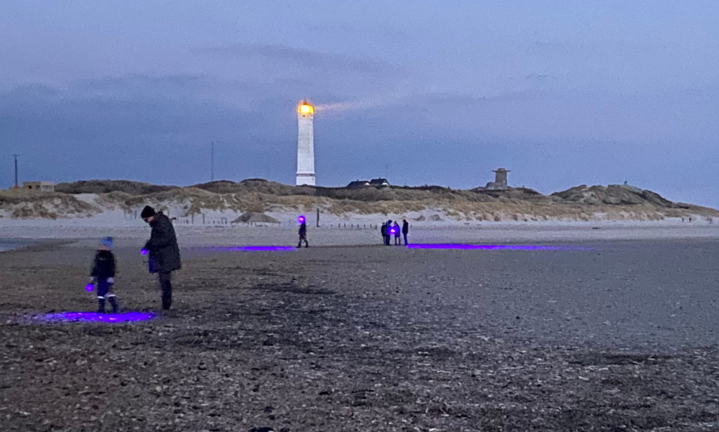 UV-safari i mørket - leg, læring og lys på stranden med NaturKulturVarde