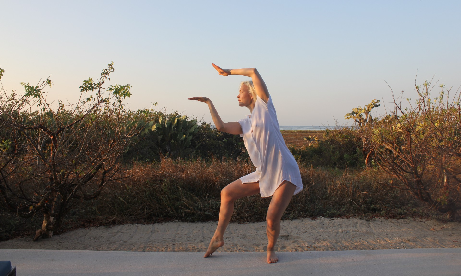 Shared pulse & rhytm: En 12-timers danseperformance af Sophie Dupont