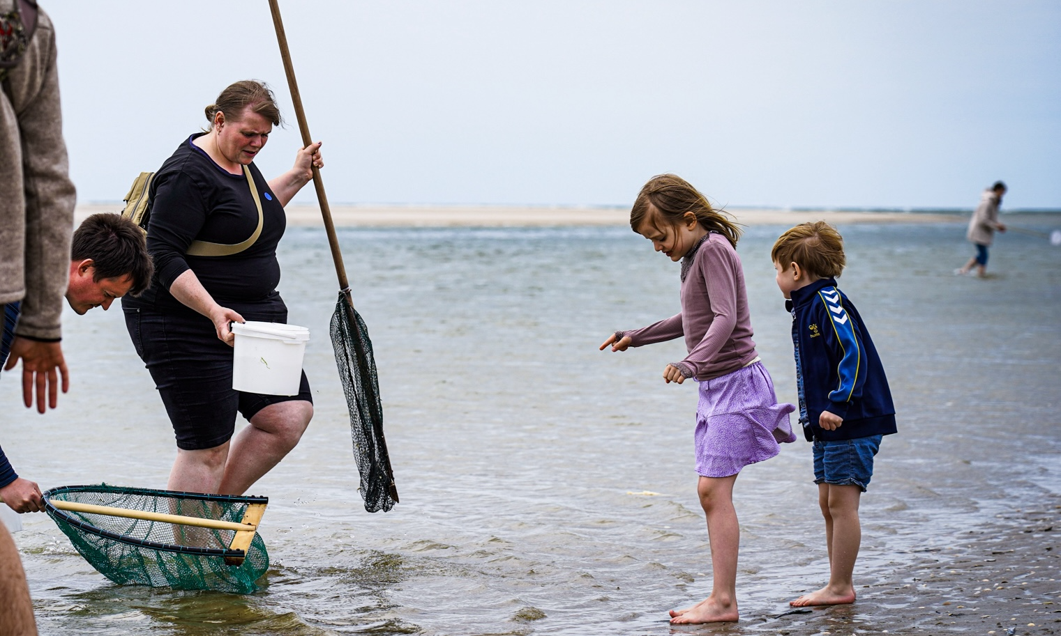 NaturSafari - Tierleben am Strand und im Meer