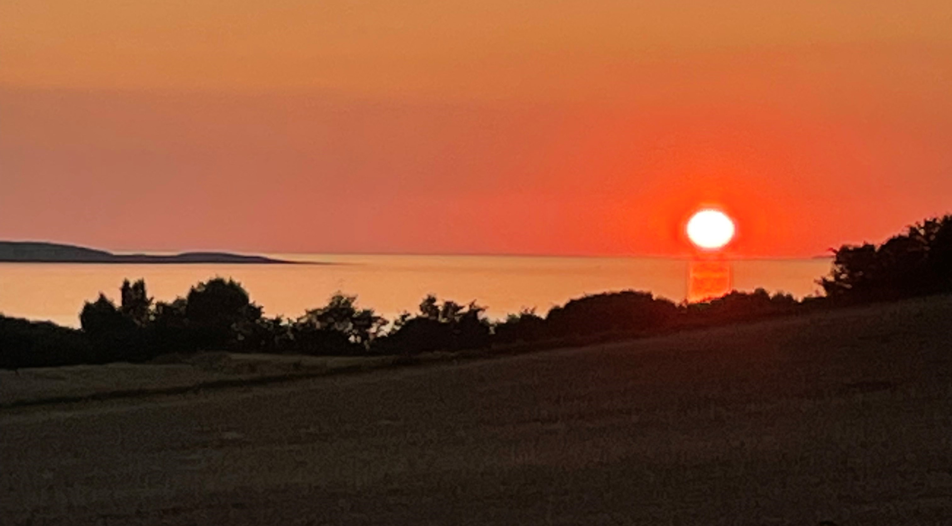 Fra marken til glasset