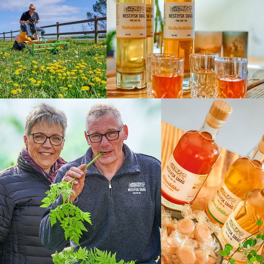 Kursus i naturlig eddikebrygning hos Westjysk Smag