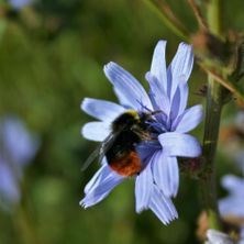 Entré Naturdestination Skovsgaard