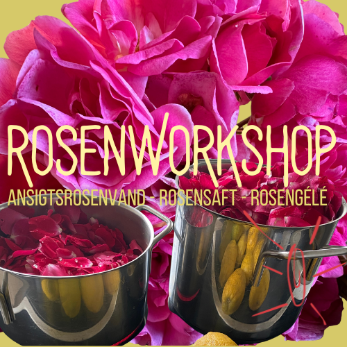 Sommerdage i Præstø præsenterer: Rosenworkshop