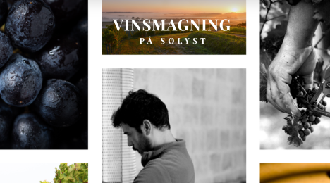 Vinsmagning på Sølyst