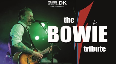 The Bowie Tribute