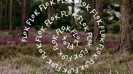 Flok