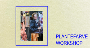 Plantefarveworkshop med Winnie