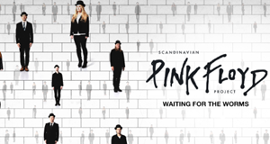 Scandinavian Pink Floyd Project