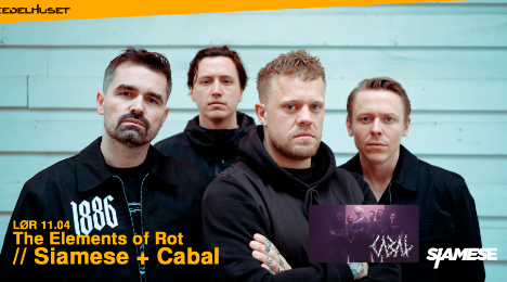 Siamese & Cabal
