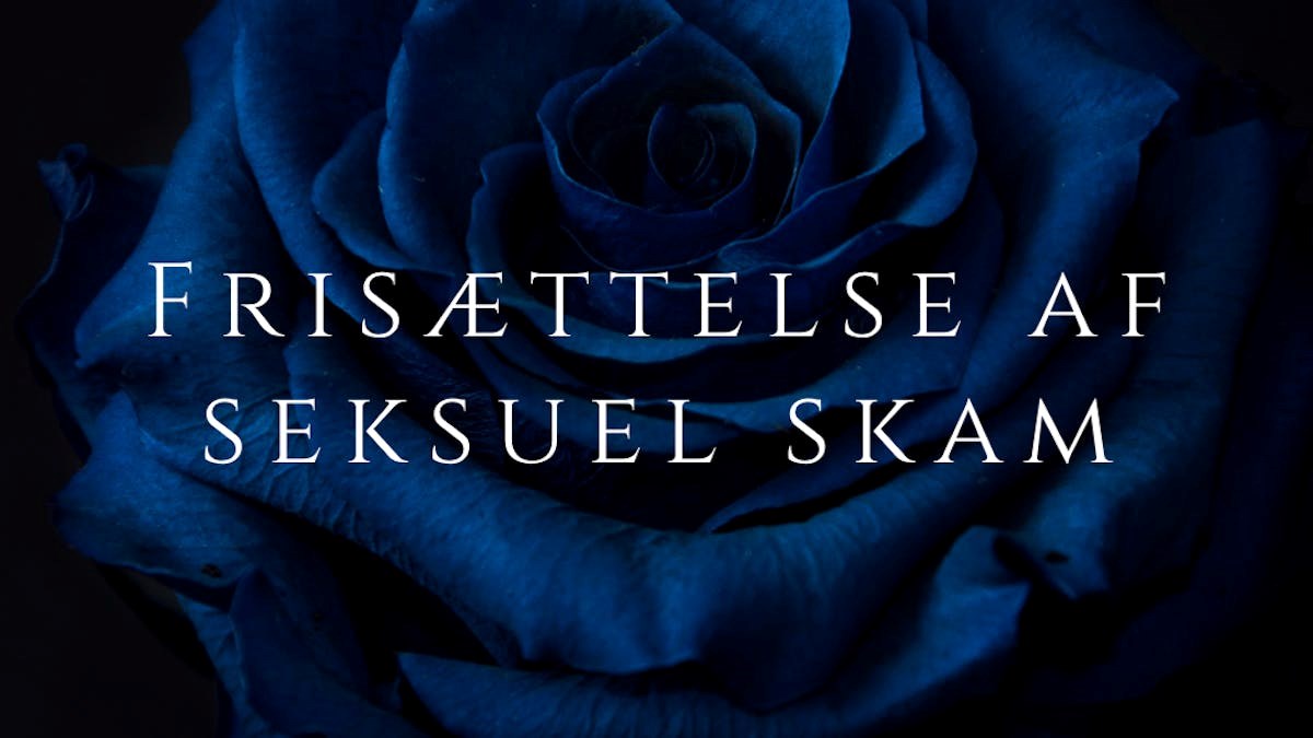 Frisættelse af seksuel skam i Århus