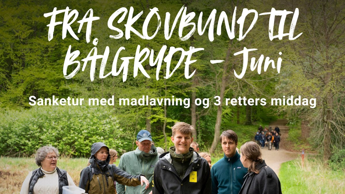Sanketur med 3-retters middag over bål - Juni