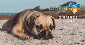 Langeland Dog Festival "For Josie"