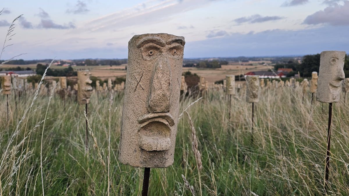 Vin og vandring 21. april - Høve Skov, Veddinge Bakker og Esterhøj, 11 km