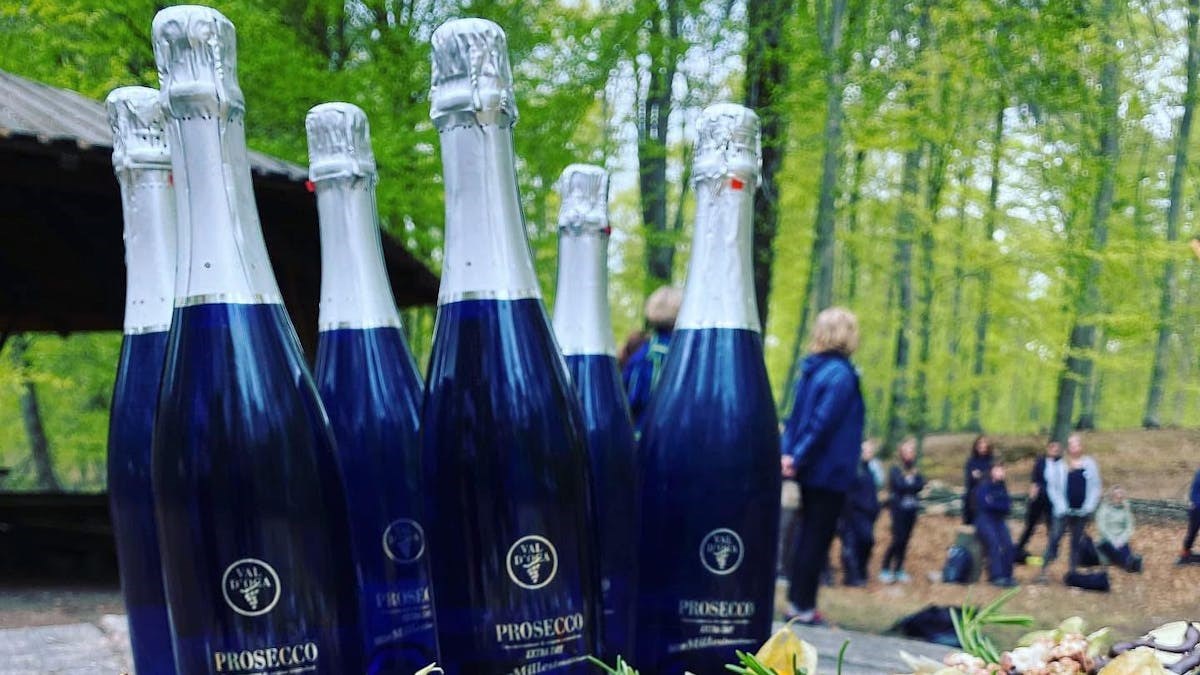 Nytårs-vandring - bobler, bål og nytårs-ritualer