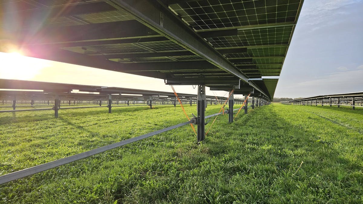 CRT Reception: Energiprojekter som løftestang for landdistriktsudvikling