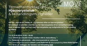 Temaeftermiddag om Hjernerystelse og Behandlingsmuligheder