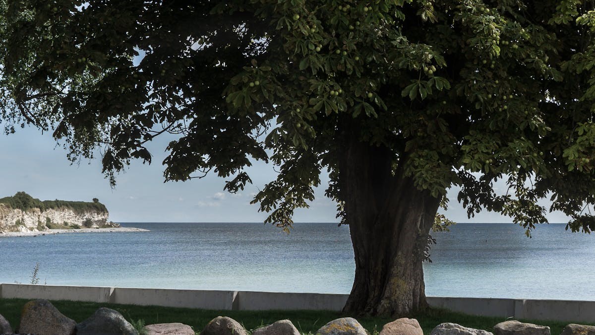 Stevns Turistforenings Generalforsamling