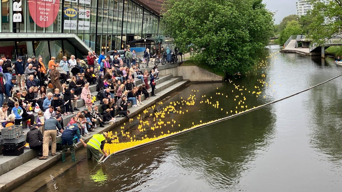 Spændende Anderæs i Vejle med mange flotte præmier, fredag 29. maj 2026