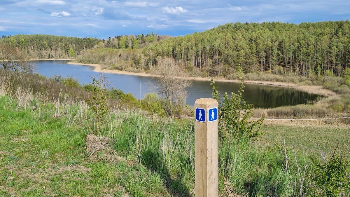 Fredagsvandring: Brorfelde, Maglesø og "de Sjællandske Alper" , ca. 14 km