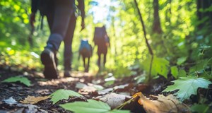 Walk & Wonder - Silence, Reflection & Connection