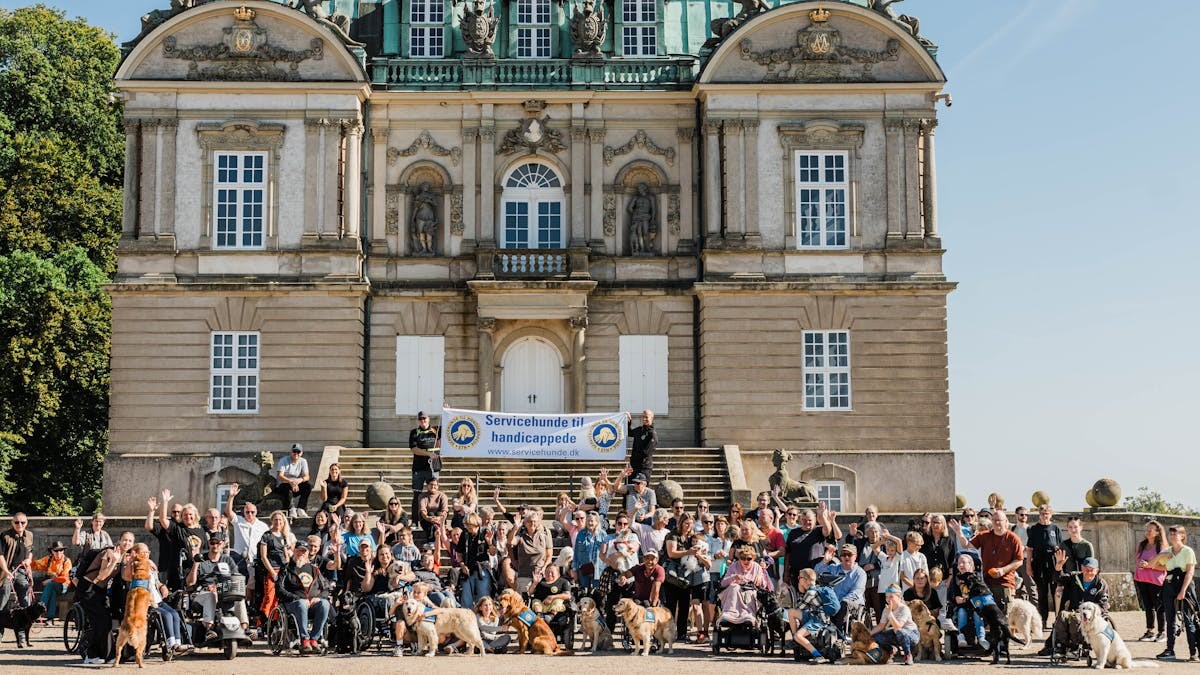 Sth - servicehunde til Handicappede Dog-A-Thon lørdag den 19. September 2026 i Dyrehaven, København