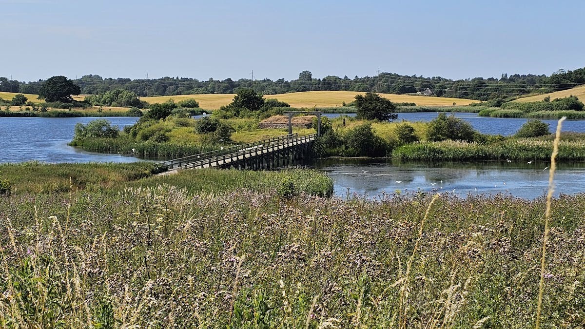 Grønnehave Skov, Næsholm Borgruin og Ringholm, 20 km