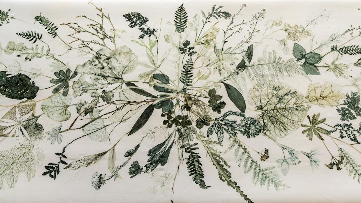 Kunsttryk, Planteindsamling & Herbarium