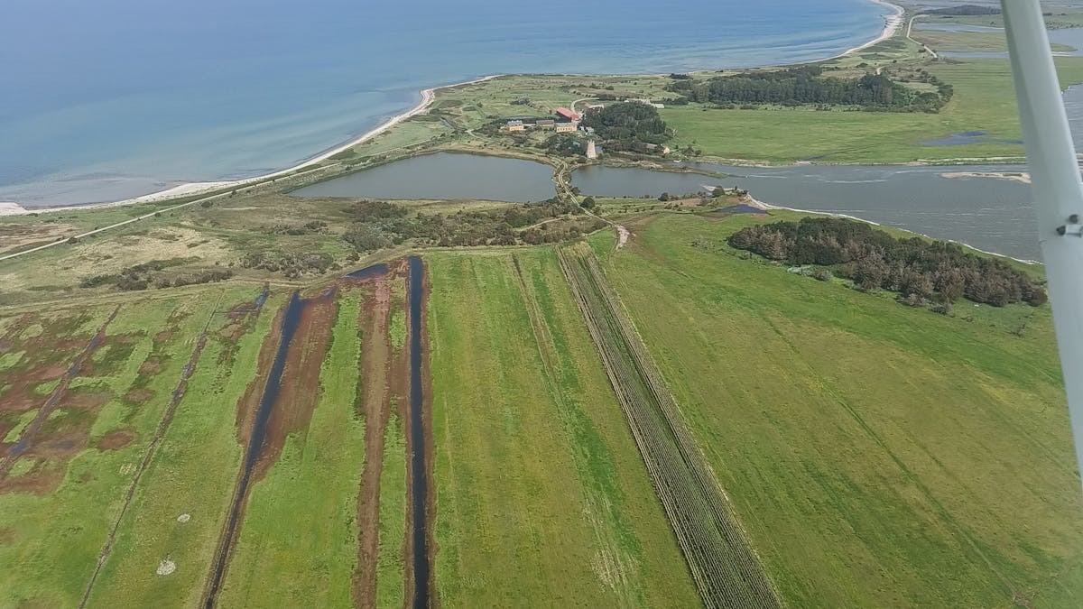 Guidet tur Saltbæk Vig