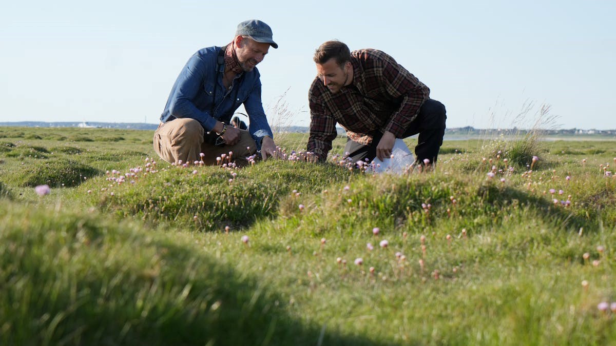 Citizen Science på Fanø med Marco Brodde & Vest for Vest