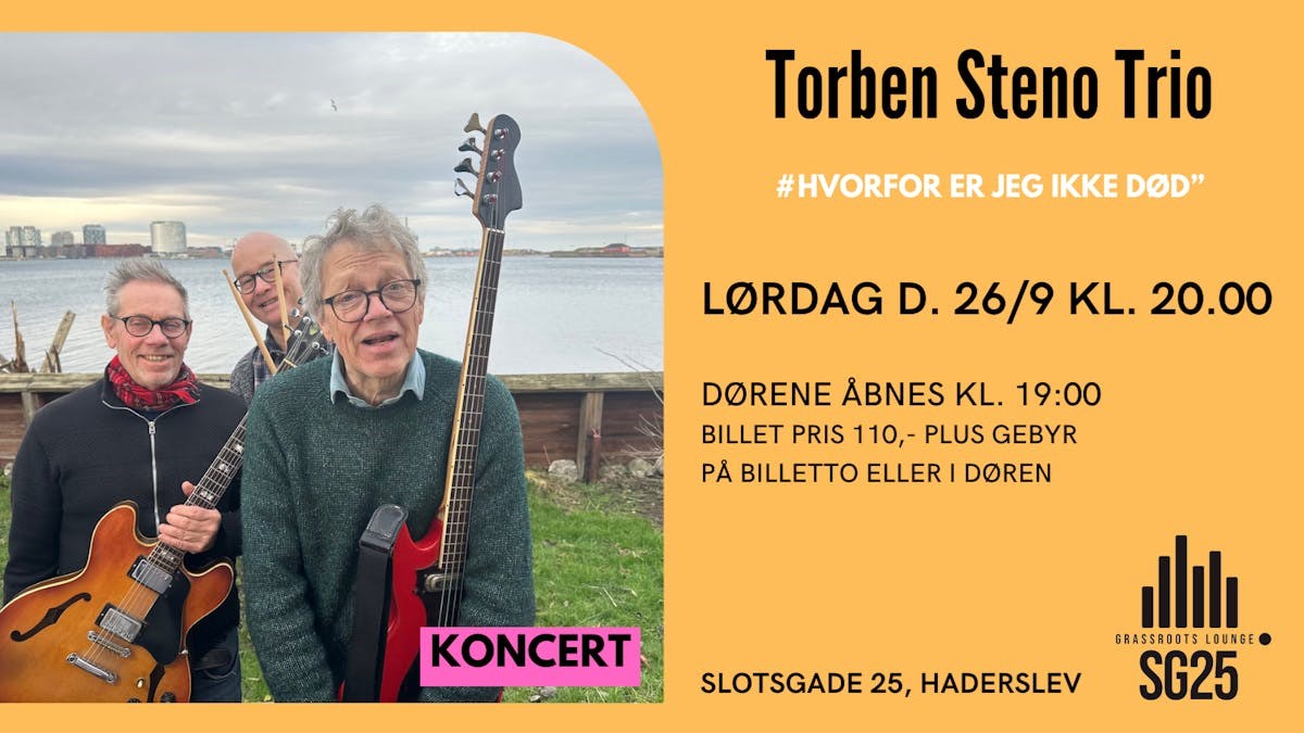 Torben Steno Trio