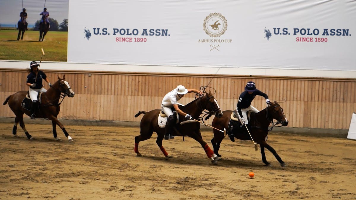 Aarhus polo cup