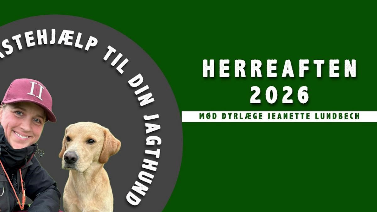 Herreaften 2026 - Førstehjælp til din jagthund