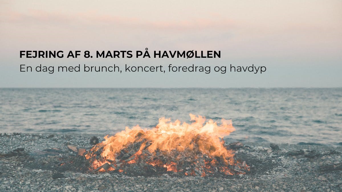 Fejring af 8. marts på Havmøllen