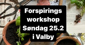 Forspirings workshop i Valby